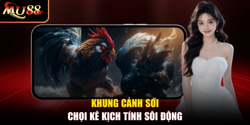 Khung cảnh sới chọi kê kịch tính sôi động
